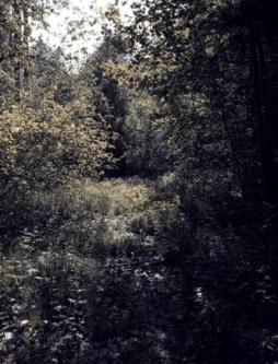 öfters auch mal Outdoor Vergnügen zu Dritt in Grenchen - Bild 1