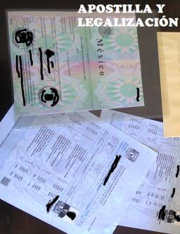 registration, processing of university degree with professional license, tijuana63837130721921122