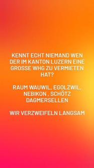 wohnung gesucht in Wohlen - Bild 1